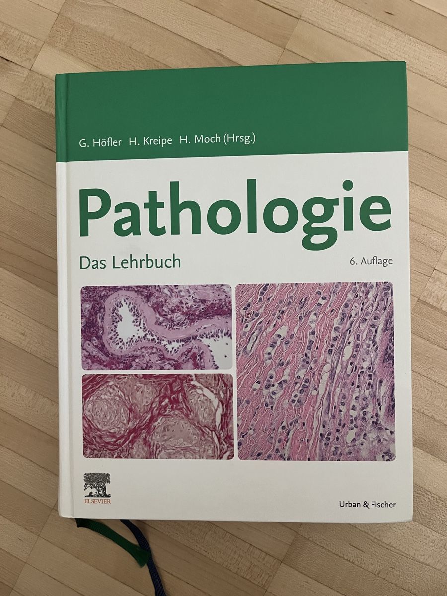 Libri: Pathologie das Lehrbuch Elsevier – Nuovo (secondo la descrizione) da Luzern venduto da jodermatt