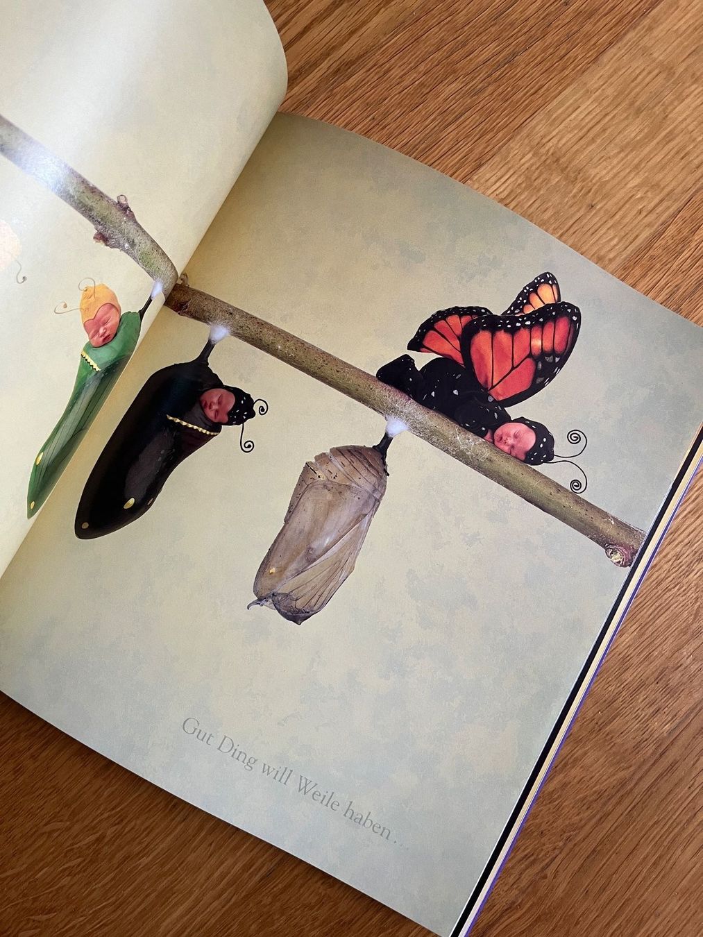 Libri: Bildband "Drunten im Garten", Anne Geddes – Usato da Grosswangen venduto da Vita500 1