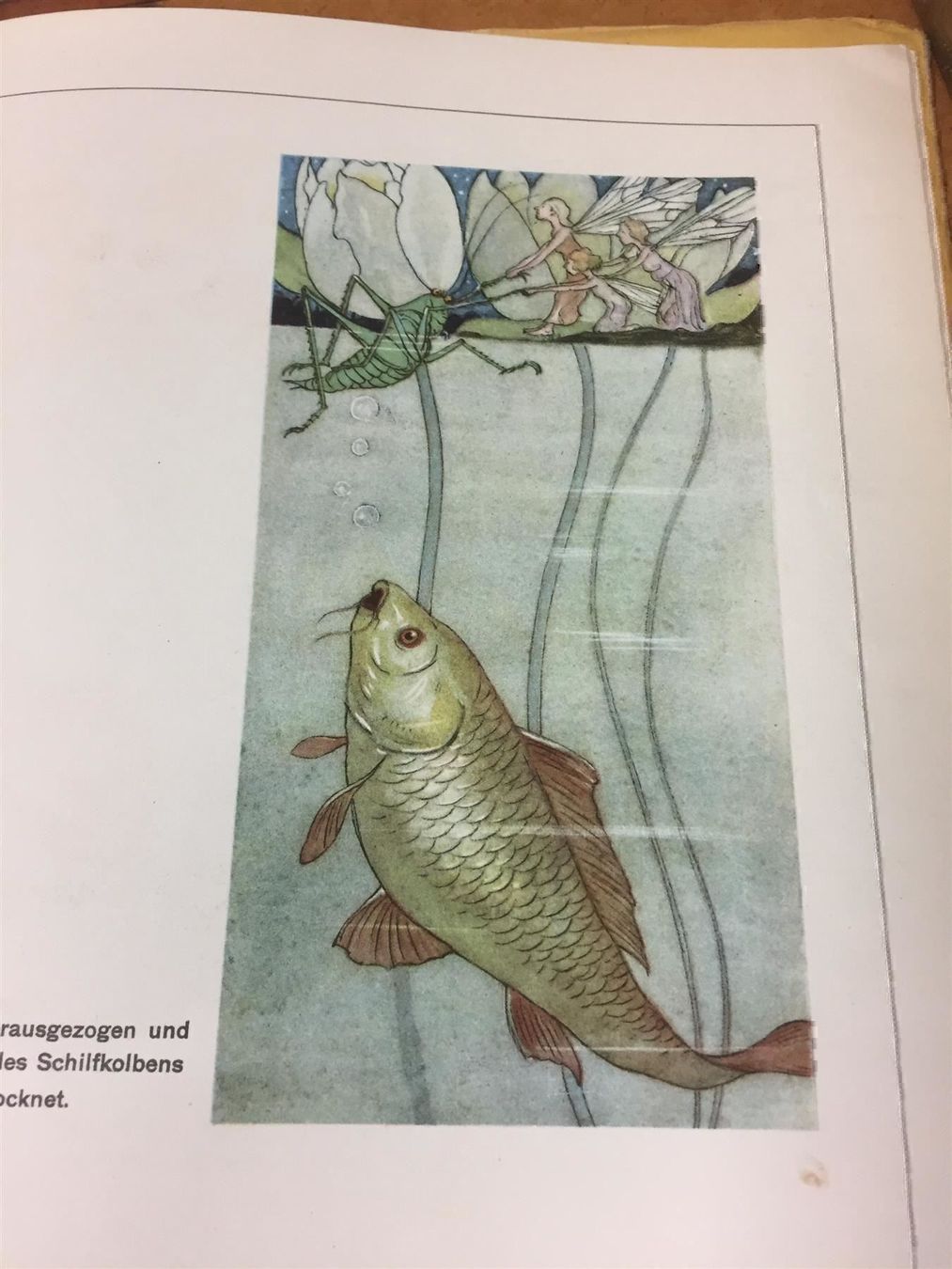 Libri: DINGLER Max, Der Heuschreck & die Blumen – Usato da Bern venduto da Jwpm66 4