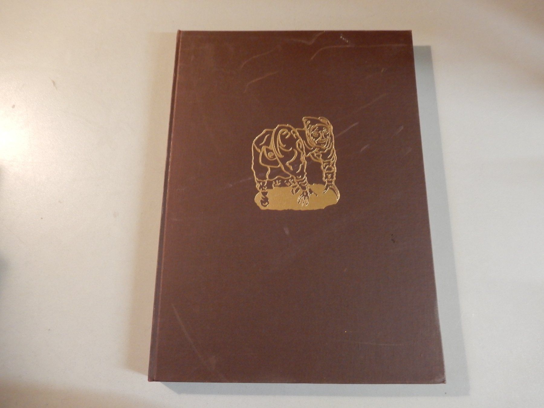 Libri: Antikes Buch: Thoughts in Stone, 1948, Elsevier – Usato da Erstfeld venduto da Mario_boe0