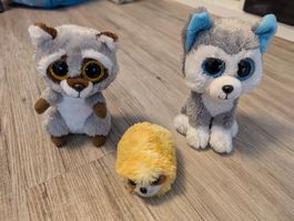 TY Beanie Boos Slush Husky, Oakie Waschbär, Dangler Faultier