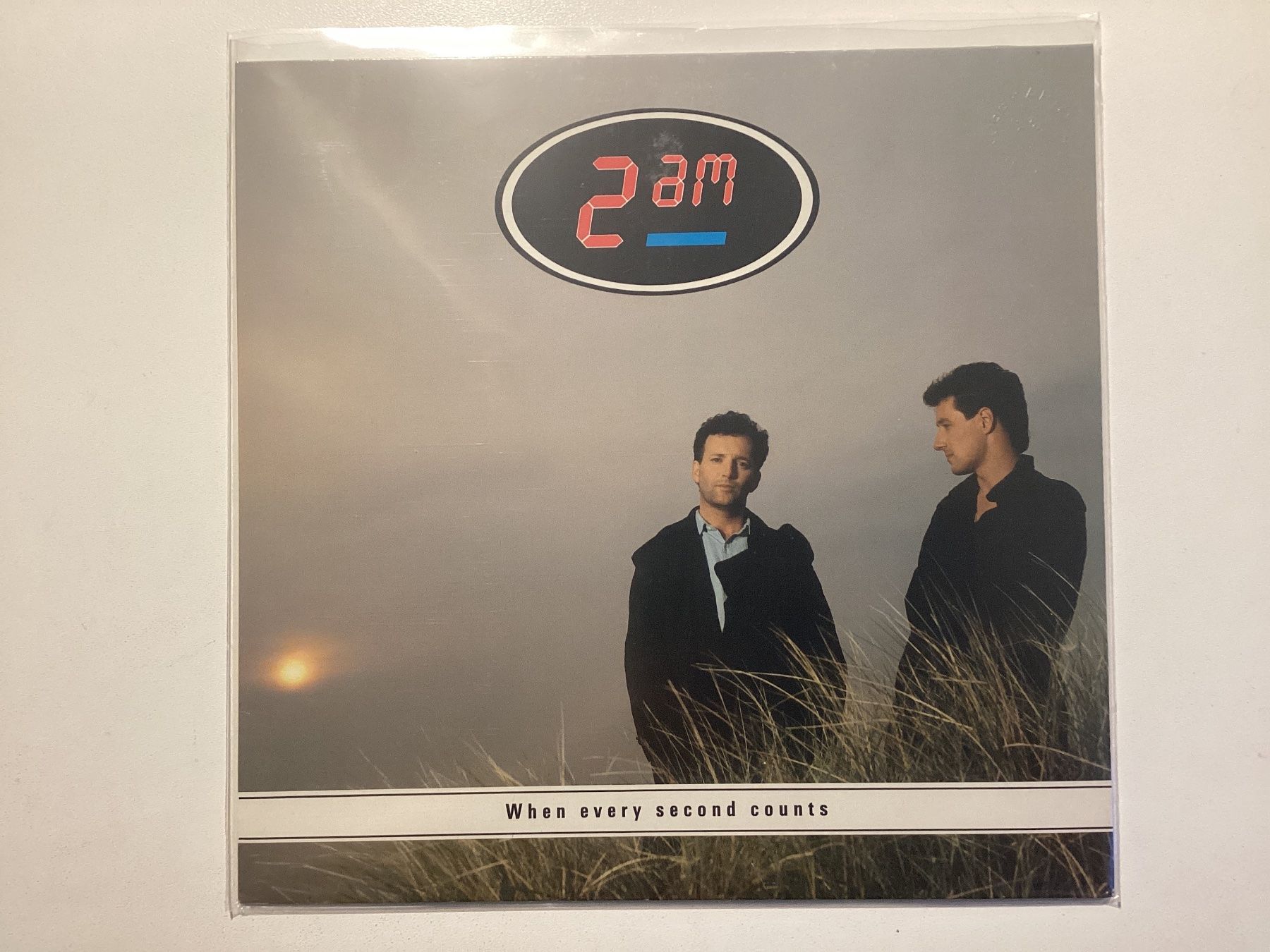 Dischi in vinile: 2AM LP - When Every Second Counts – Usato da Gutenswil venduto da Hamzian