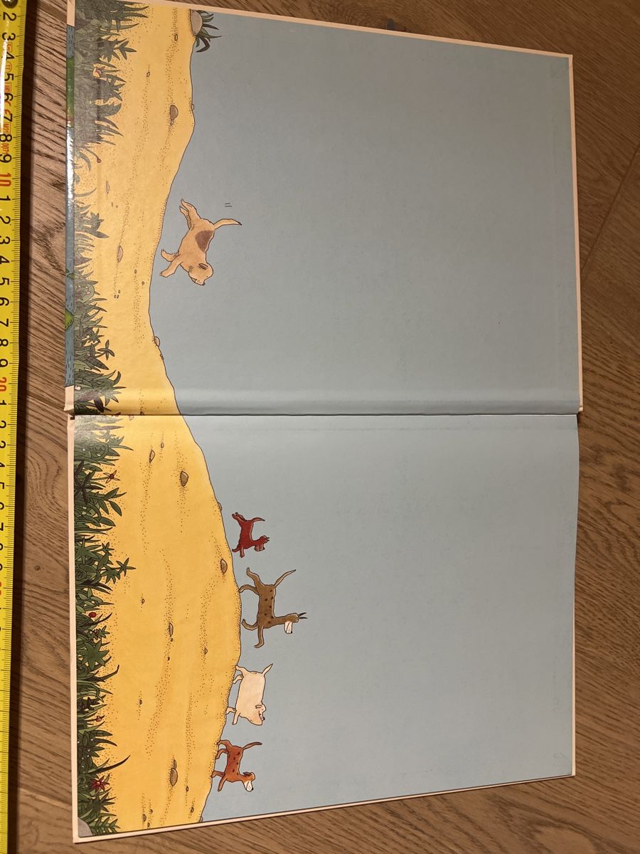 Libri: Bilderbuch "Die Reise nach Amerika" Kinder – Usato da Oensingen venduto da katepe 1