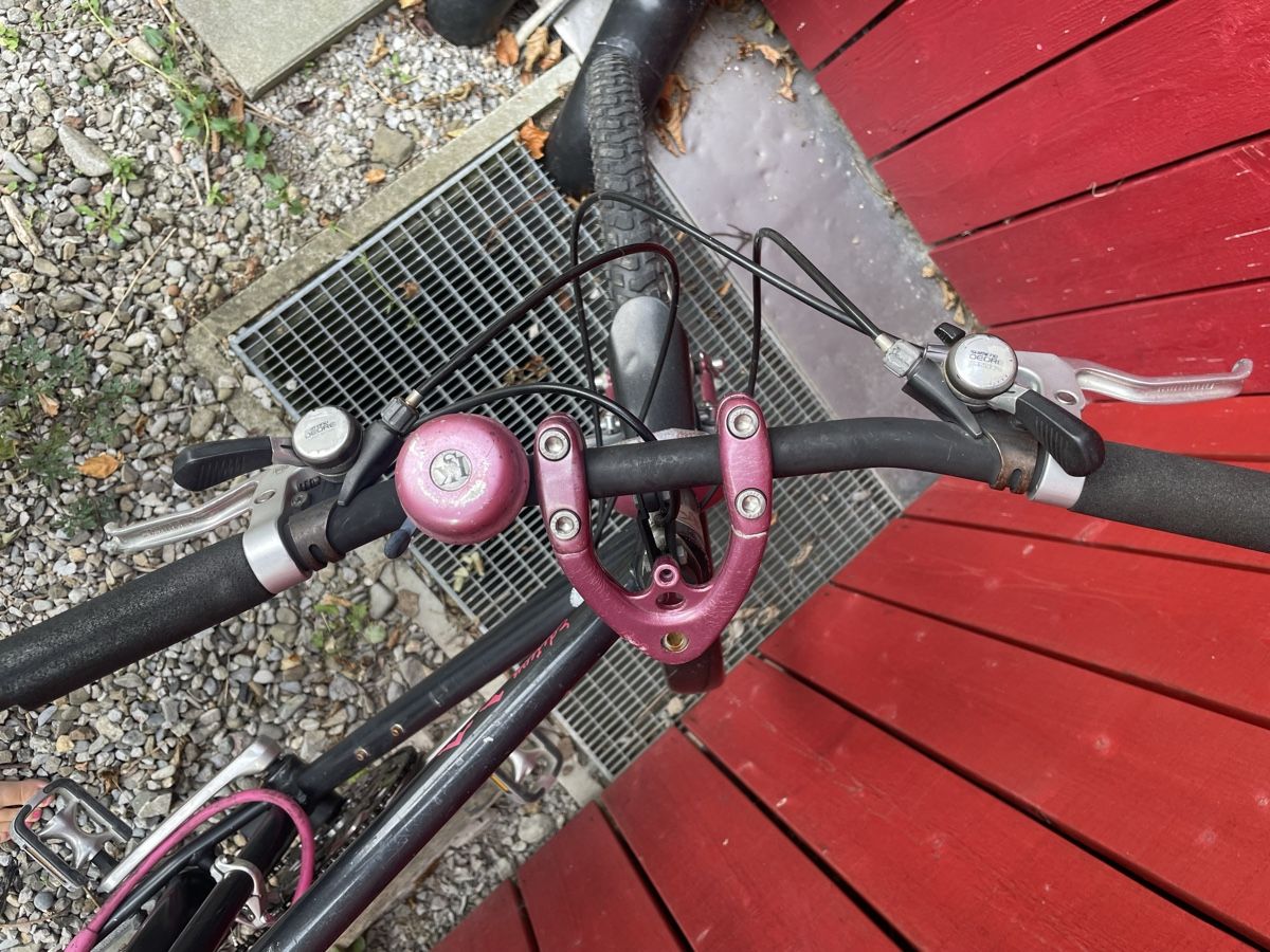 Velos: Velo – Gebraucht aus Spiez von lukullisch 6
