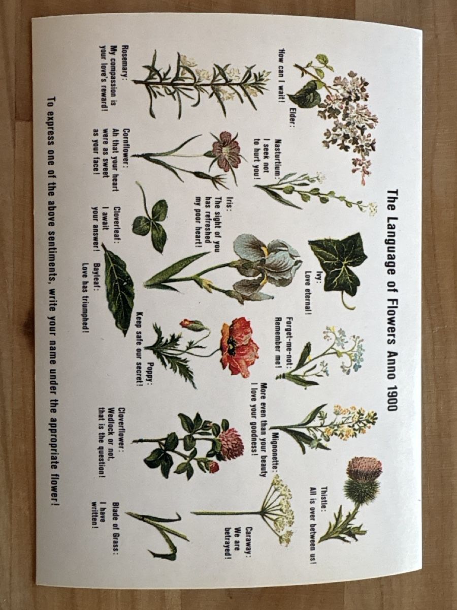 Ansichtskarten: AK mit Blumen - Sprache – Gebraucht aus Rümlang von Kartenpost1 3
