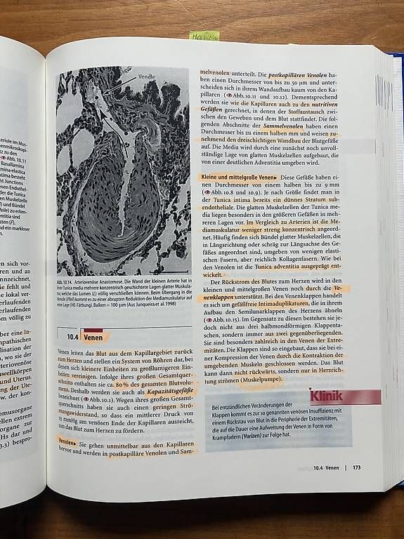 Libri: Histologie-Lehrbuch – Usato da Wilihof venduto da escargotet 1