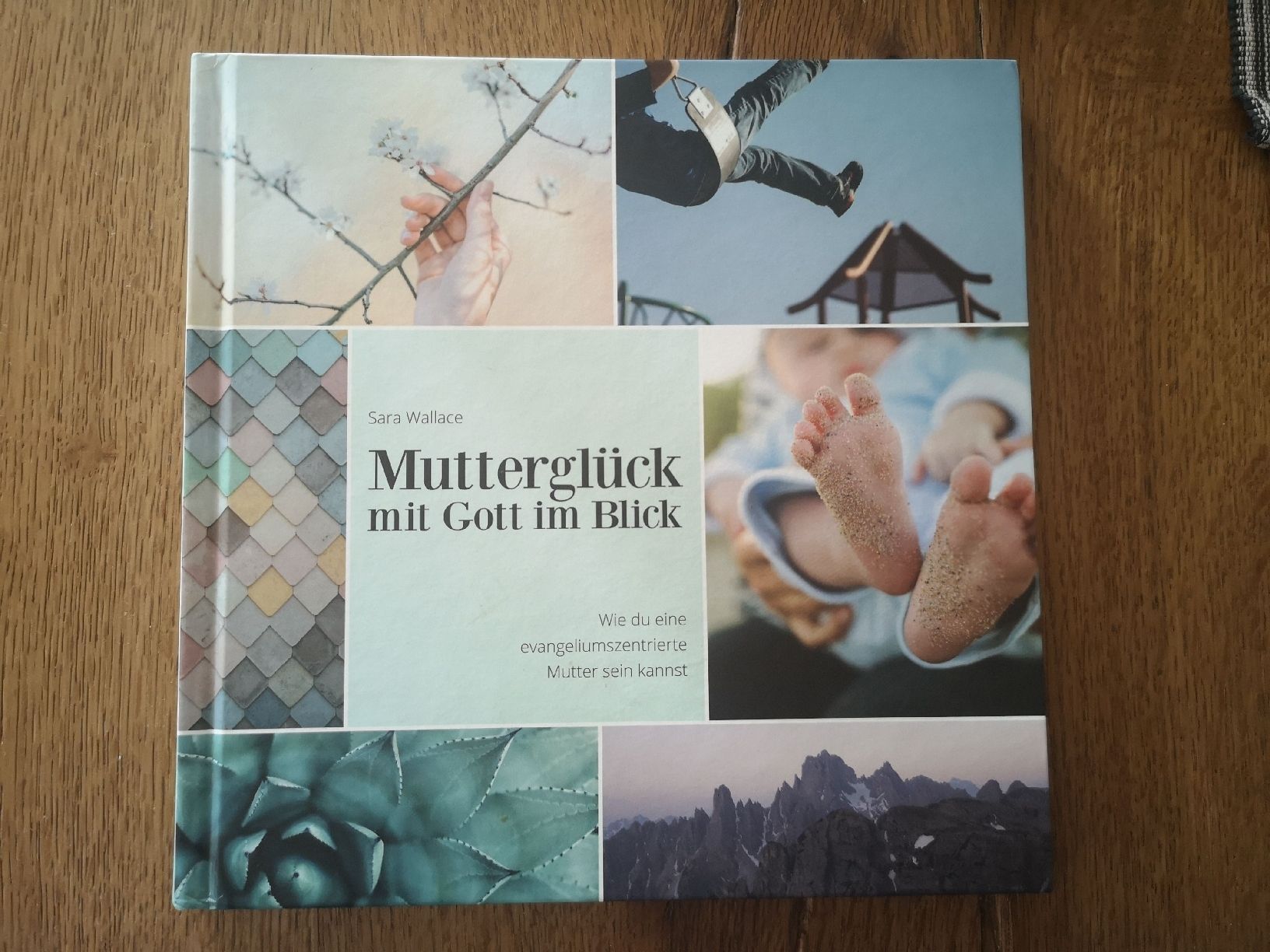 Libri: Buch: Mutterglück - Mit Gott im Blick – Nuovo (secondo la descrizione) da Stein AR venduto da elifi88