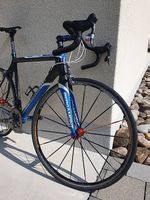 Rennvelo Bergamont Dolce Team