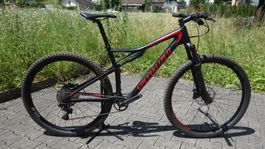 Specialized EPIC Carbon Fully MTB 29 Gr. L