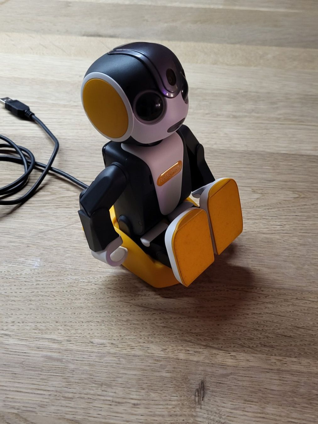Sharp Handys / Smartphones: Sharp Handy RoBoHon Kult – Neu (gemäss Beschreibung) aus Domat Ems von Gaar0