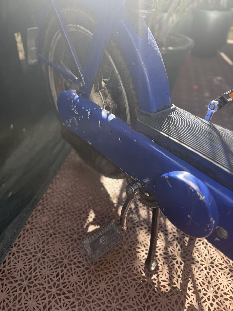 Piaggio Mofas: Piaggio Ciao – Gebraucht aus Uster von Dervisevic_Su 3