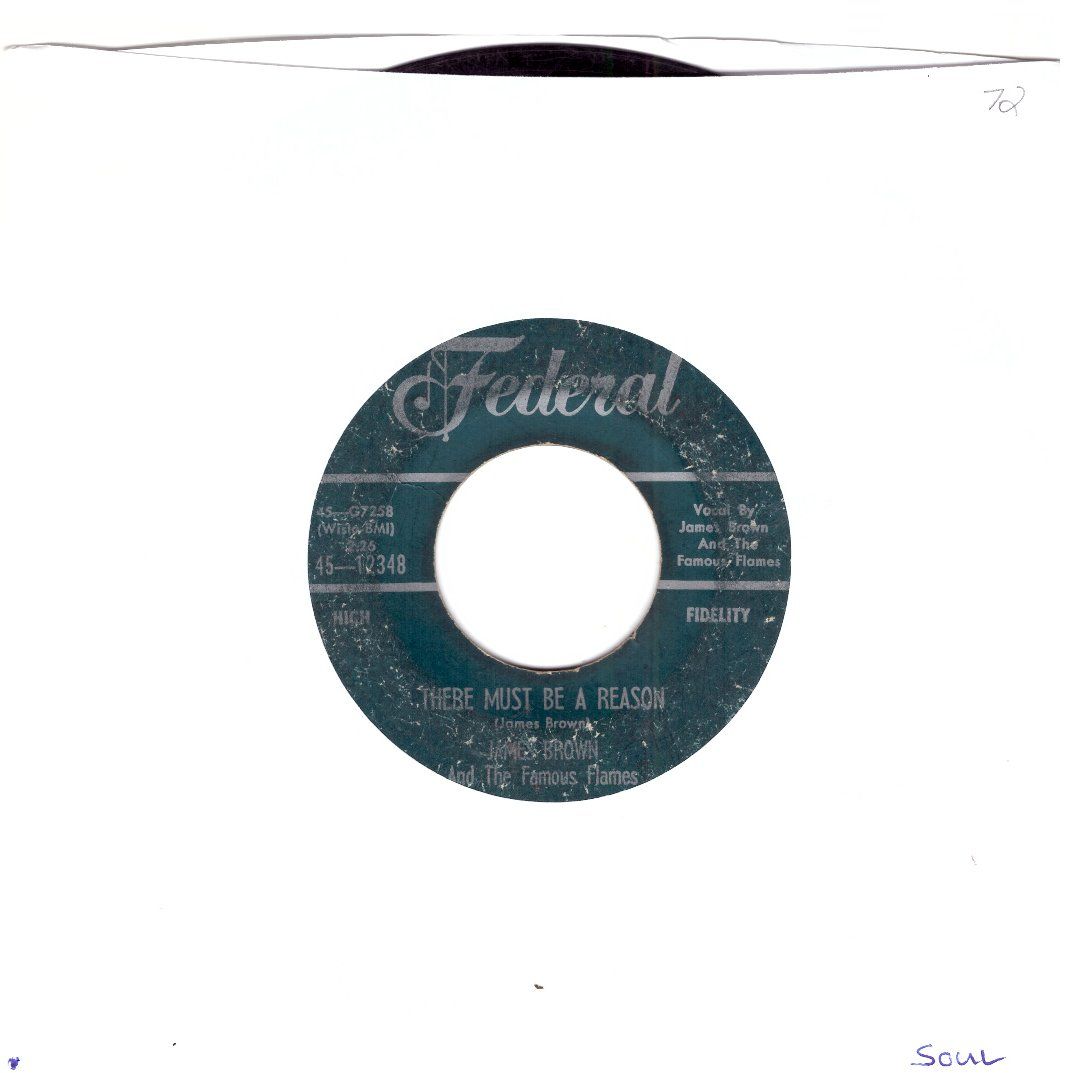 Vinyles: JAMES BROWN & THE FAMOUS FLAMES – D'occasion à Bassersdorf par house-of-vinyl