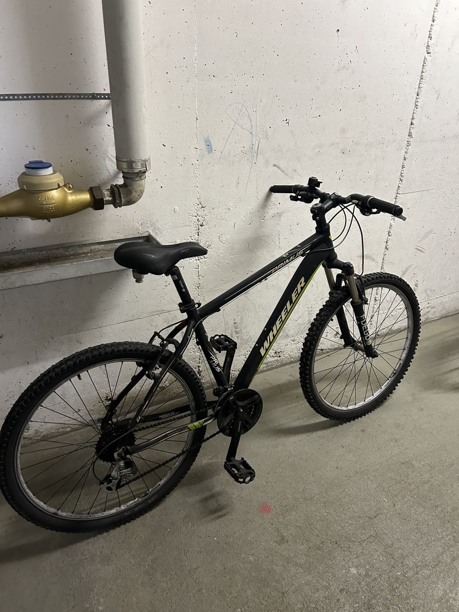 Velos: Export velo – Gebraucht aus Egerkingen von G1970B 2