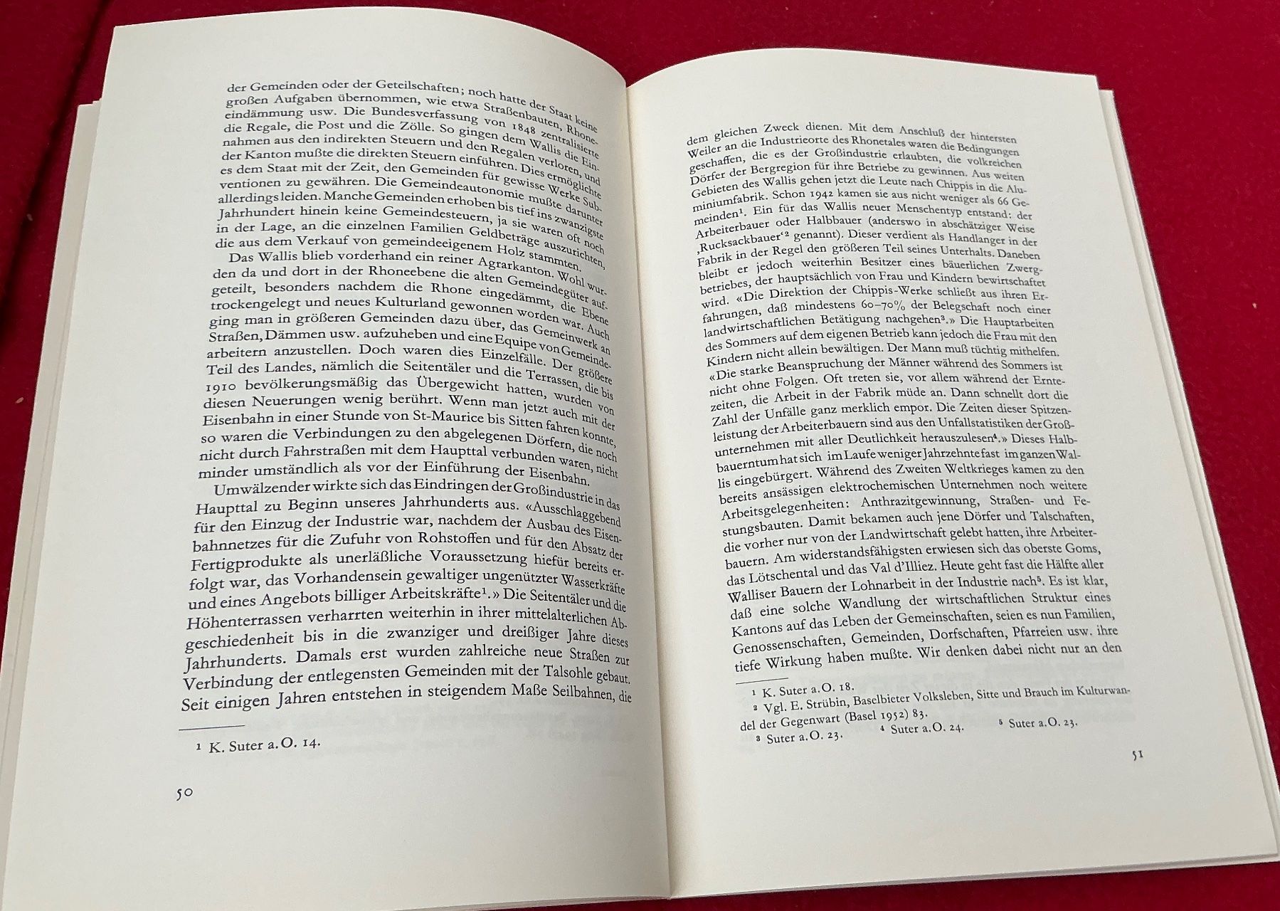 Libri: Arnold Niederer: Gemeinwerk im Wallis – Usato da Naters venduto da seidengut 5