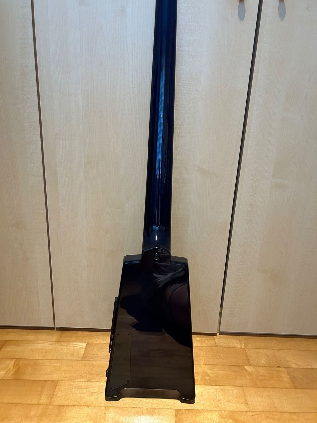 Instruments de musique: Steinberger XT-25 Standard (5 String) – D'occasion à Baden par HS231150-a 2