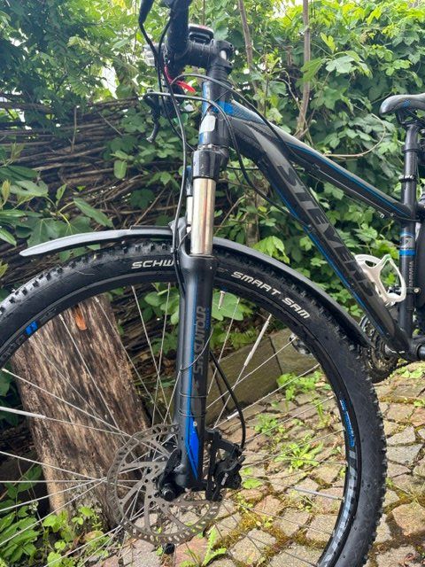 Stevens Velos: Mountainbike Stevens Taniwha Hardtail – Gebraucht aus Egg b. Zürich von rolfri01 7