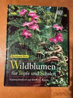 Witt: Wildblumen für Töpfe und Schalen