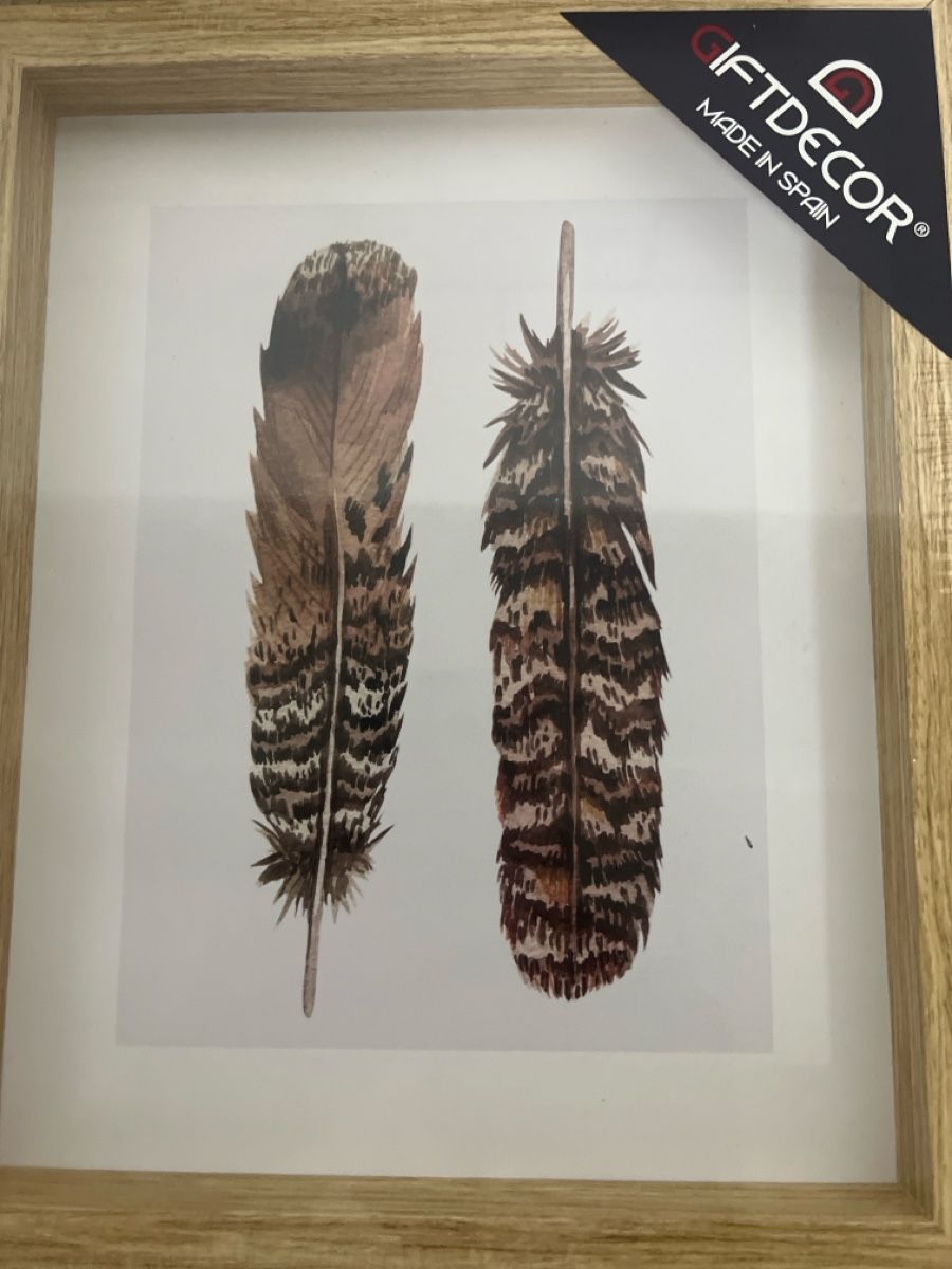 Foto & Immagini: Bild mit zwei Federn im Holzrahmen Giftdecor – Nuovo e nell'imballaggio originale da Wettingen venduto da Kawasaki987