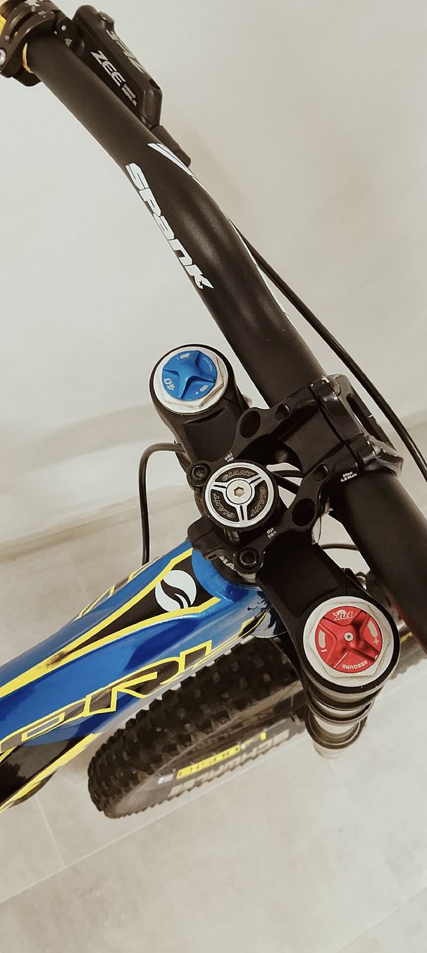 Giant Velos: Giant Glory 8.0 Downhill bike – Gebraucht aus Biel/Bienne von Vintage-timearts 9
