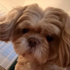 Profile image of san_5rhn