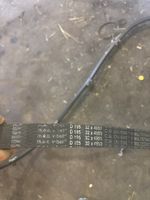 Zinkenband
