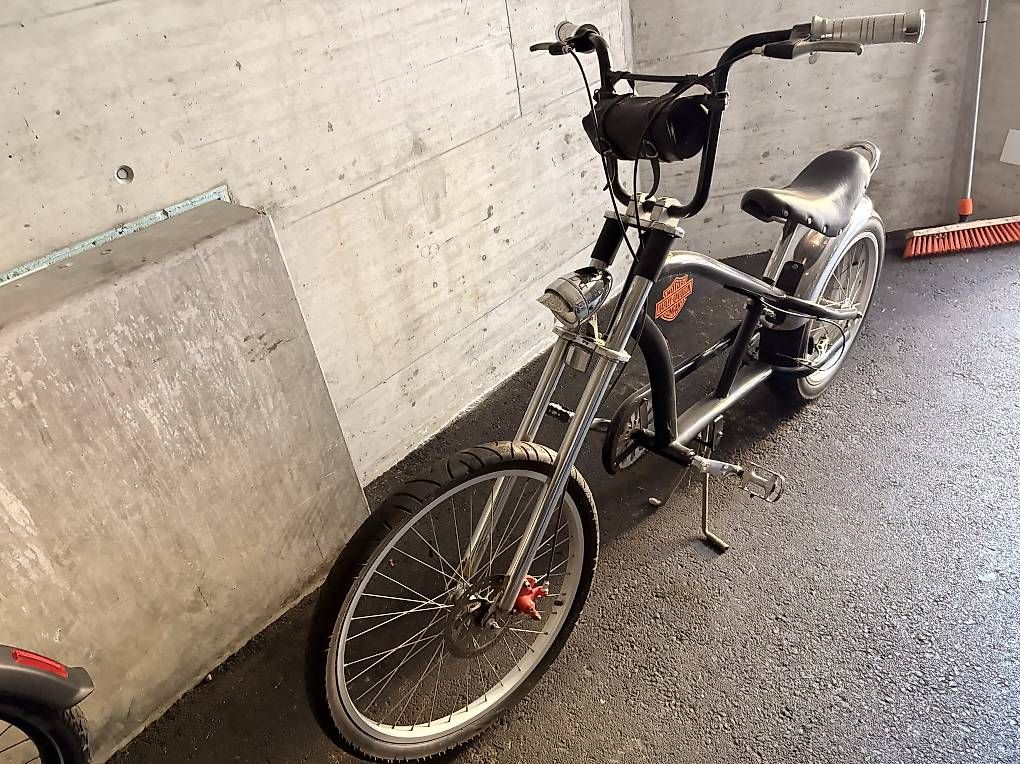 Biciclette: Bicicletta Harley Davidson – Usato da Bellinzona venduto da and_7pfg 2