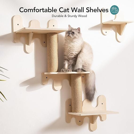Pareti & prese d'arrampicata: Katzen-Wandregale aus Holz, 4er-Pack – Nuovo e nell'imballaggio originale da Oberentfelden venduto da sch_8bt6 3