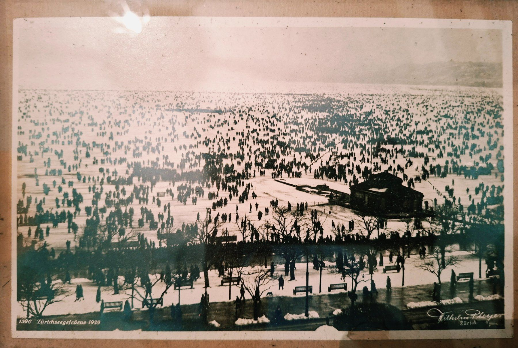 Foto & Immagini: Zürich Foto – Usato da Weiningen ZH venduto da nic_5lqm 1