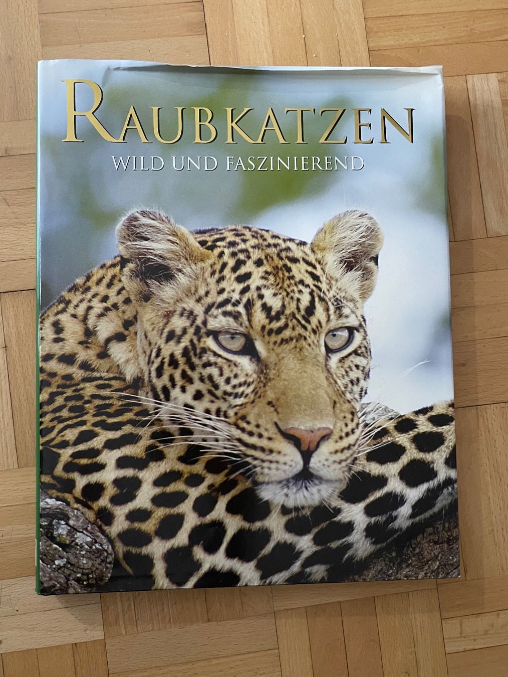Libri: Grosses Raubkatzen Buch – Usato da Zürich venduto da mar_xfn9