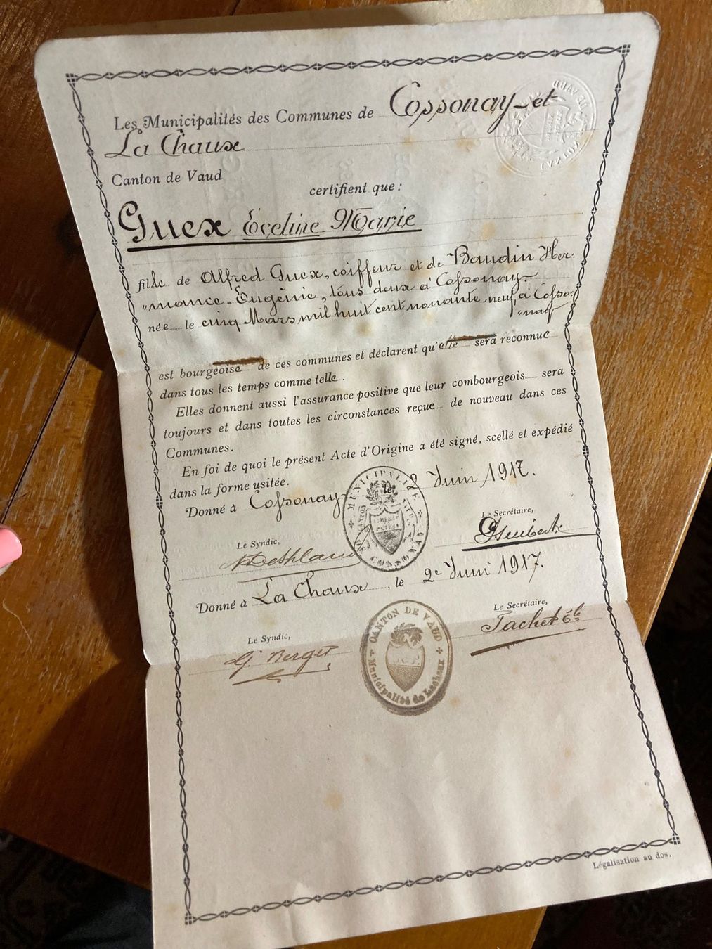 Documenti: Acte origine Guex Cossonay 1917 – Usato da St-Cierges venduto da LeRegain 2