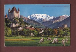 THUN - Schloss - Kühe - Blümlisalp