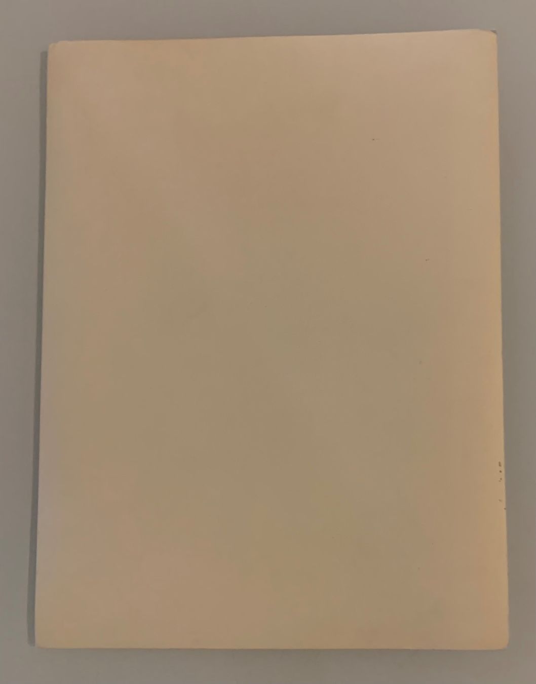 Foto & Immagini: Foto einer Morane Saulnier N erster Weltkrieg – Usato da Bern venduto da Artbrokerswitzerland 1