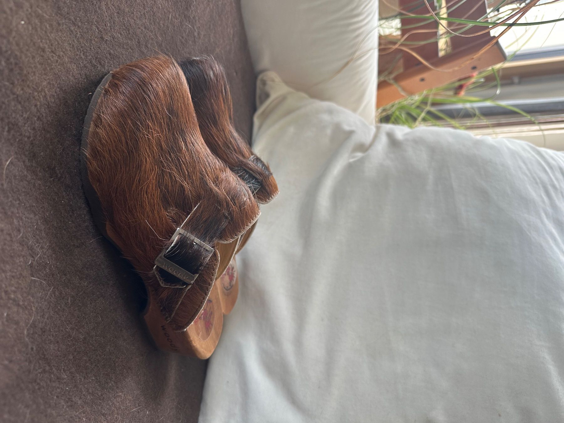 Scarpe da uomo: Woody Clogs mit Kuhfell, Grösse 38 – Nuovo (secondo la descrizione) da Samedan venduto da Enle