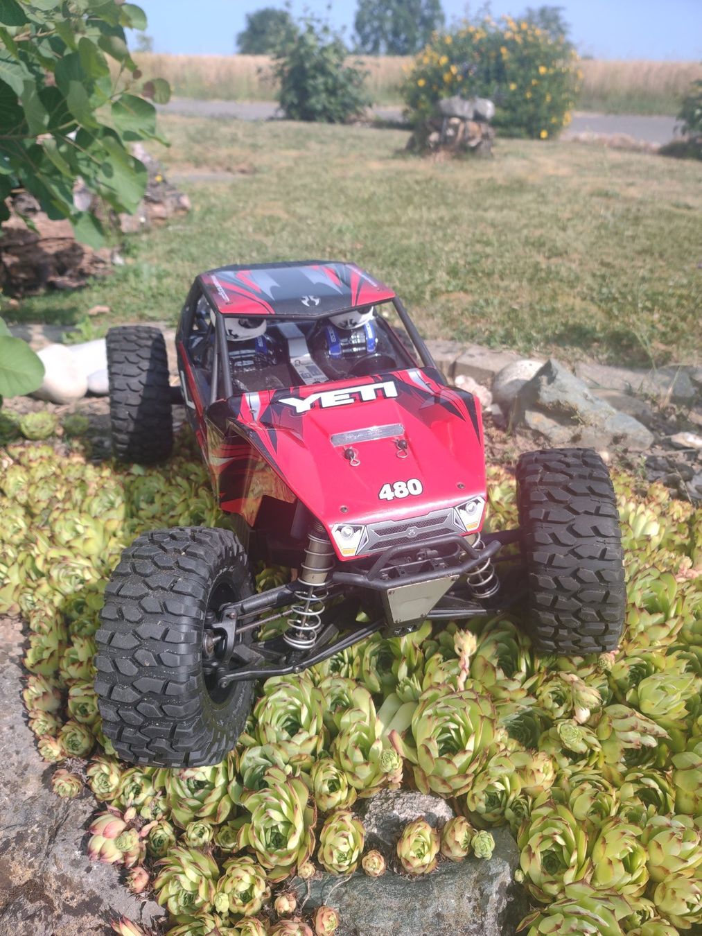 Axial Modellismo RC: Axial Yeti XL Monster Buggy, Ready 2 Race – Usato da Schweizersholz venduto da trademaster_24