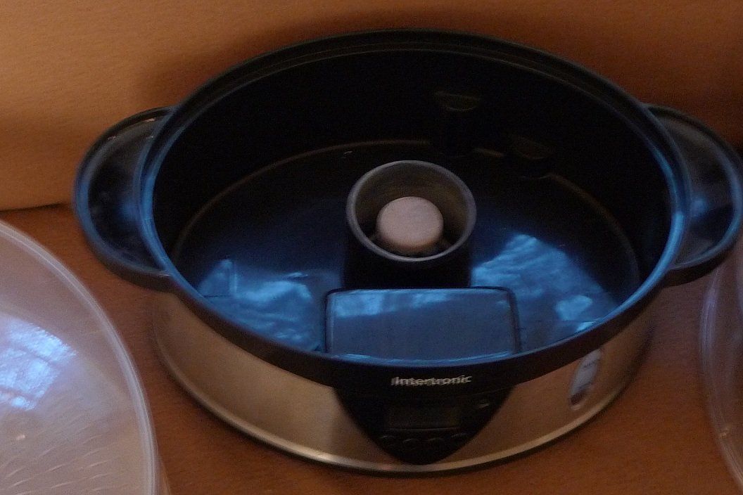 Elettrodomestici da cucina: Intertronic-Steamer! – Usato da Bern venduto da bn1640 4