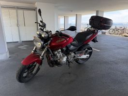 Honda CB 600 Hornet à réviser ou pour export