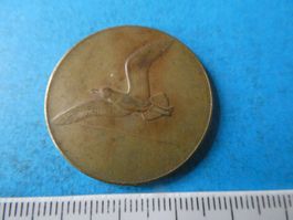Medaille Seegfrörni Zürich 1929