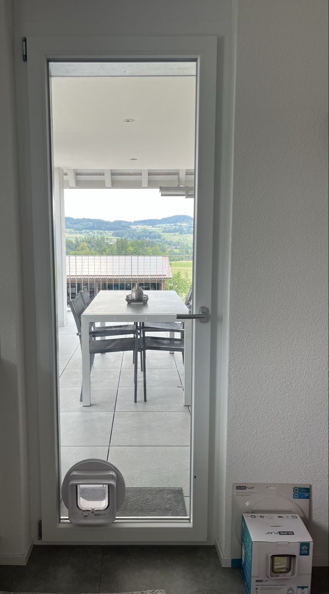 Finestre: 3fach ESG-Fenster mit Katzenklappe – Usato da Wängi venduto da cocose