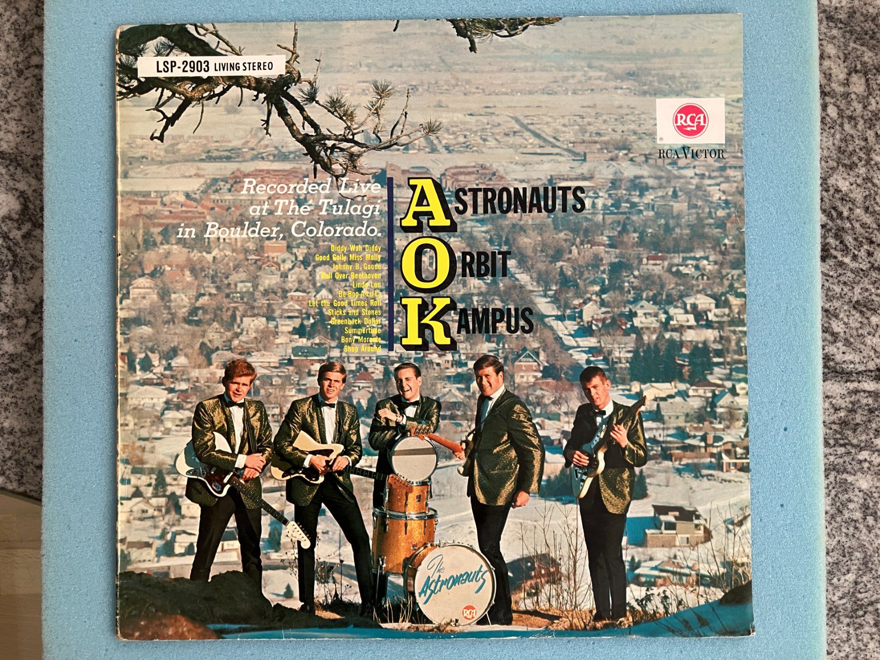 Dischi in vinile: The Astronauts – Usato da Aarwangen venduto da Jukebox3