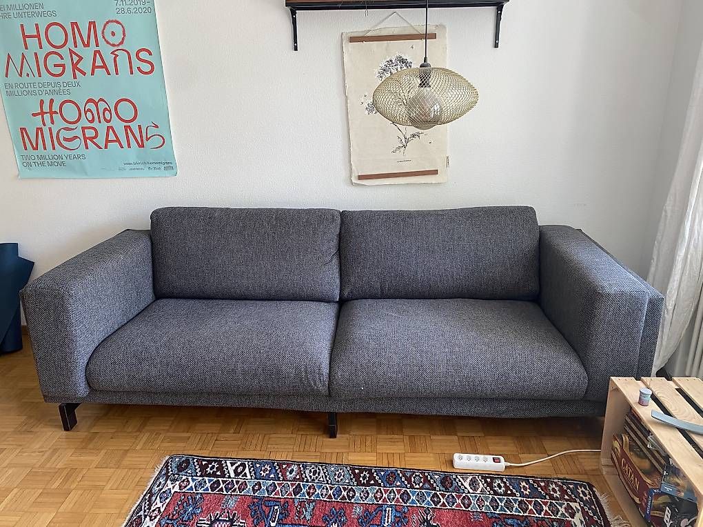 Ikea Divani: Graues sehr bequemes IKEA Sofa – Usato da Bern venduto da lad_kqb2