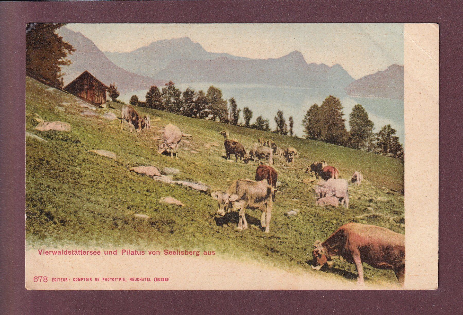 Cartoline postali: SEELISBERG - Kühe - CPN - Chocolats Ribet // Eckbug // – Usato da Pully venduto da nicecards