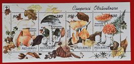 RUMÄNIEN ROMANIA PILZE BLOCK 1994** POSTFRISCH