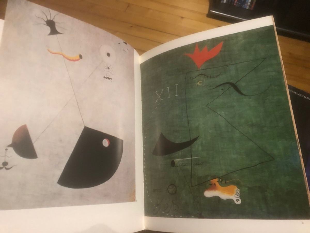 Libri: Miro - I classici della pittura – Usato da Lausanne venduto da fransadpop 2