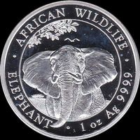 Somalia 100 Shillings 2021 Elefant - African Wildlife