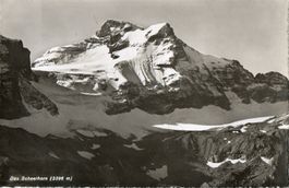 Das Scheerhorn