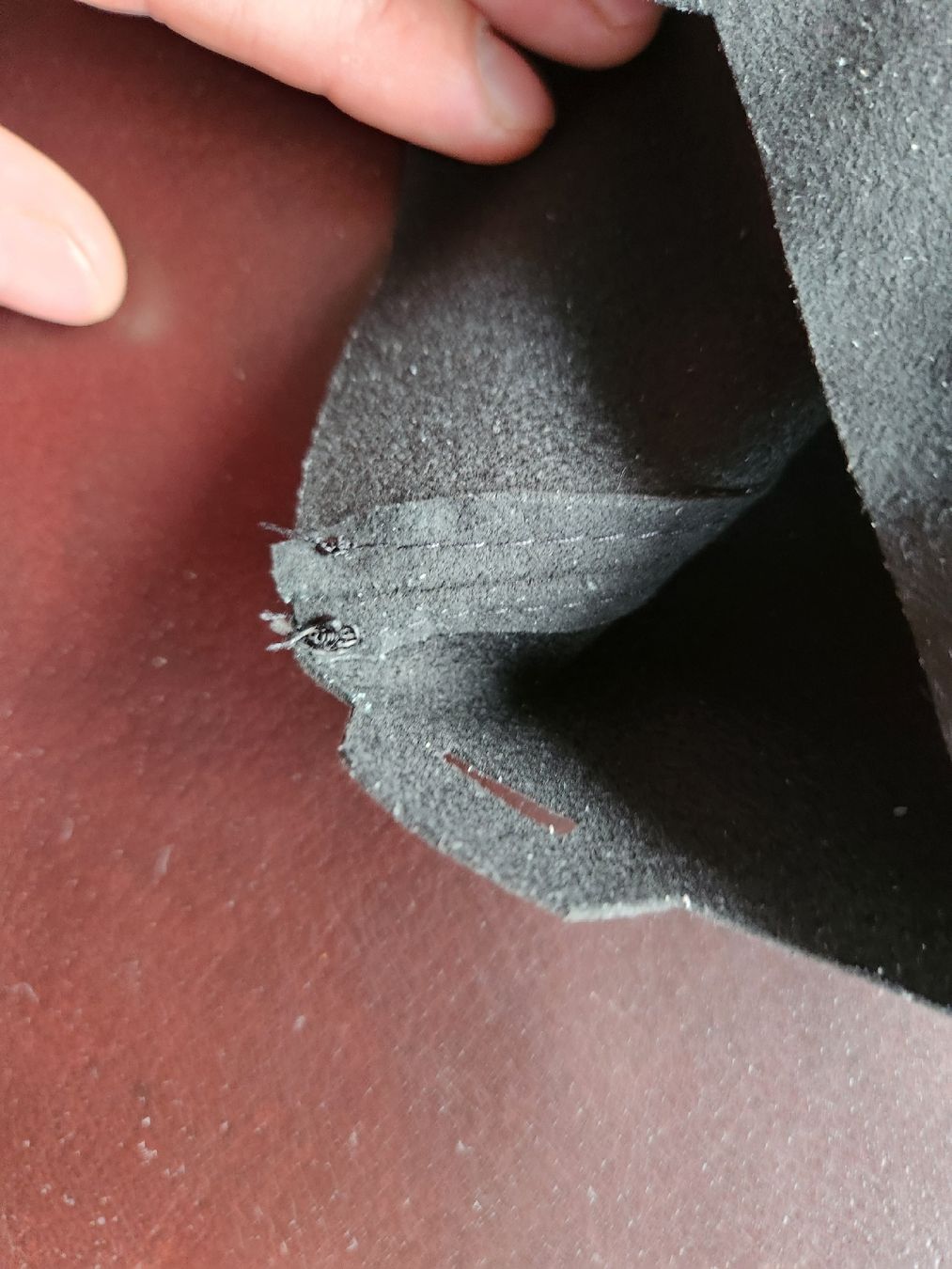 BMW Tutti pezzi di ricambio auto: Schaltsack Manchette BMW e87 e8X e9X e90 e81 Alcantara Leder – Nuovo (secondo la descrizione) da Altendorf venduto da fpa_9y76 7