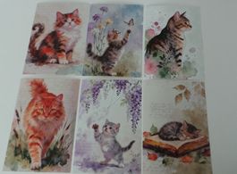6 Postkarten mit süssem Katzenmotiv