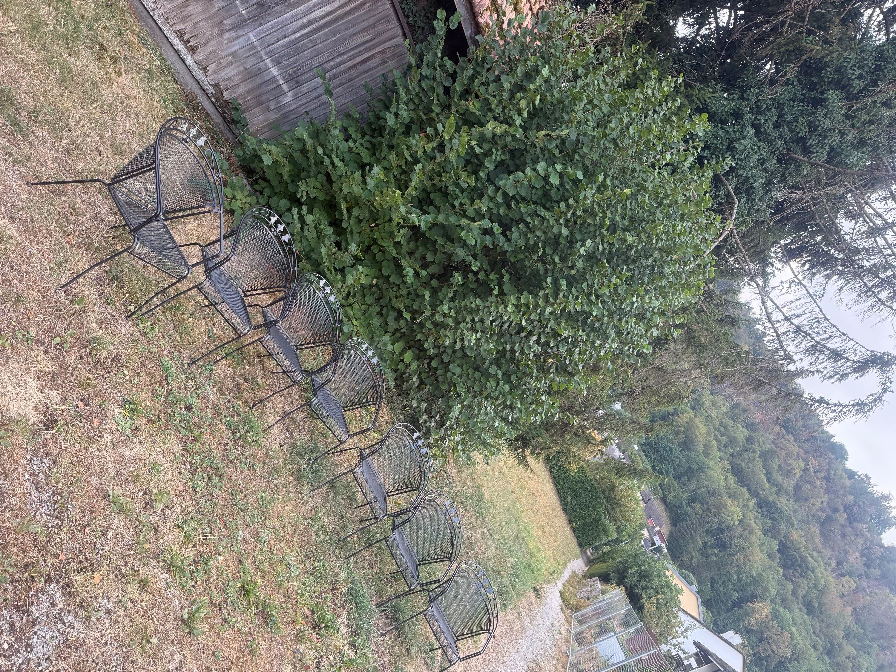 Hunn Stühle: Garten stühle – Gebraucht aus Brugg AG von Vale_1 1