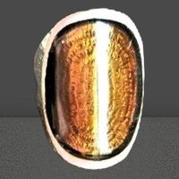 ✨💍 Vintage Ring 🐯 Tigerauge Statement Lässig Attraktiv💍💫