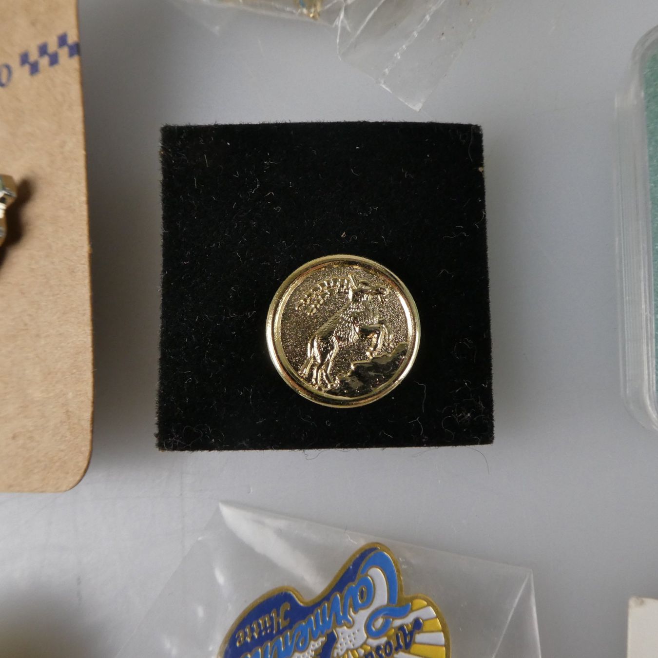 Placchette & Badge: Sammlung verschiedener Anstecknadeln – Usato da Volketswil venduto da brockipfannenstil 7